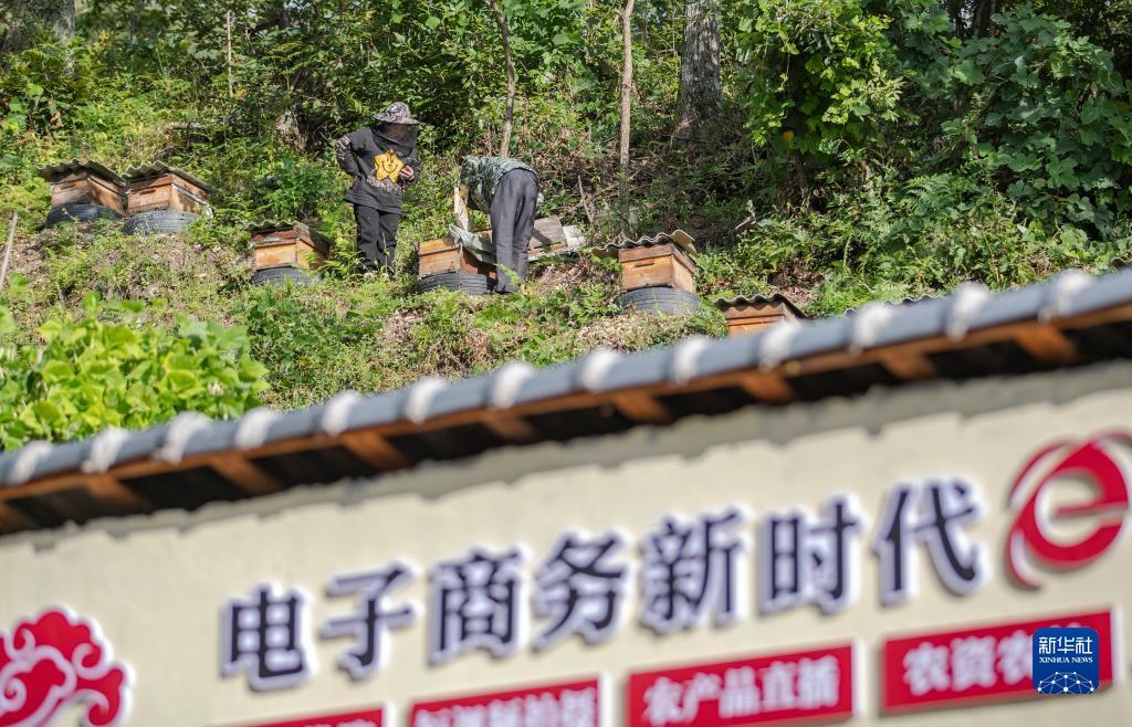 博壹论坛网址
